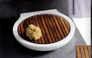 Dish 1998